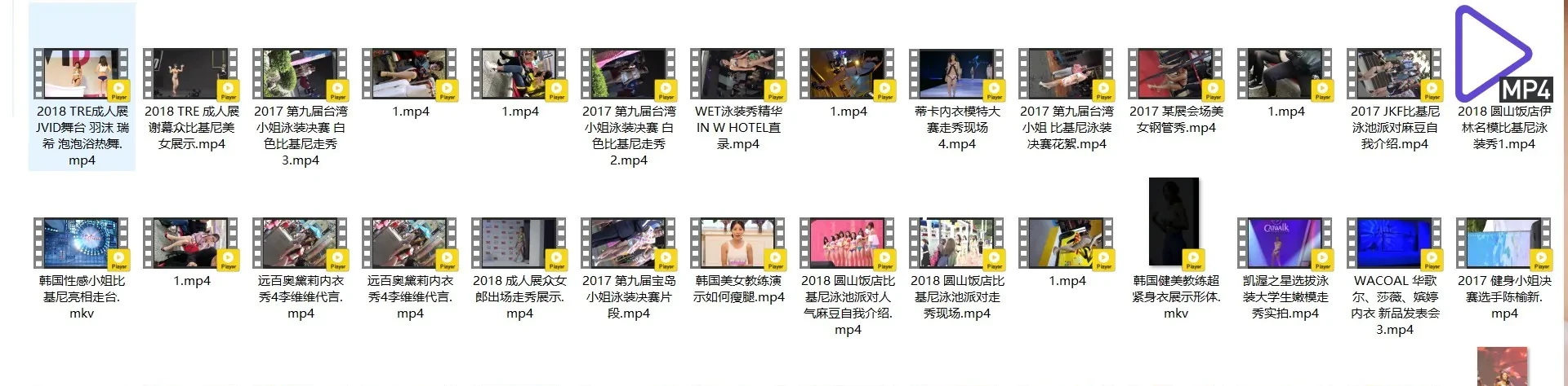 精选模特 明星（韩国女团/韩国车展车模/JKF比基尼派/钢管秀/成人展/内衣秀/时装秀/街拍视频）高清视频合集 共117套写真写真视频[33.60G]