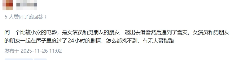 一个比较小众的电影